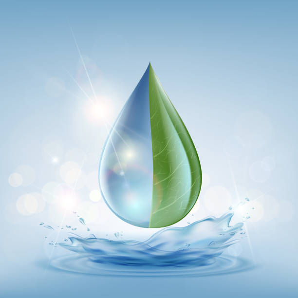 How to choose a water purifier? Remember 